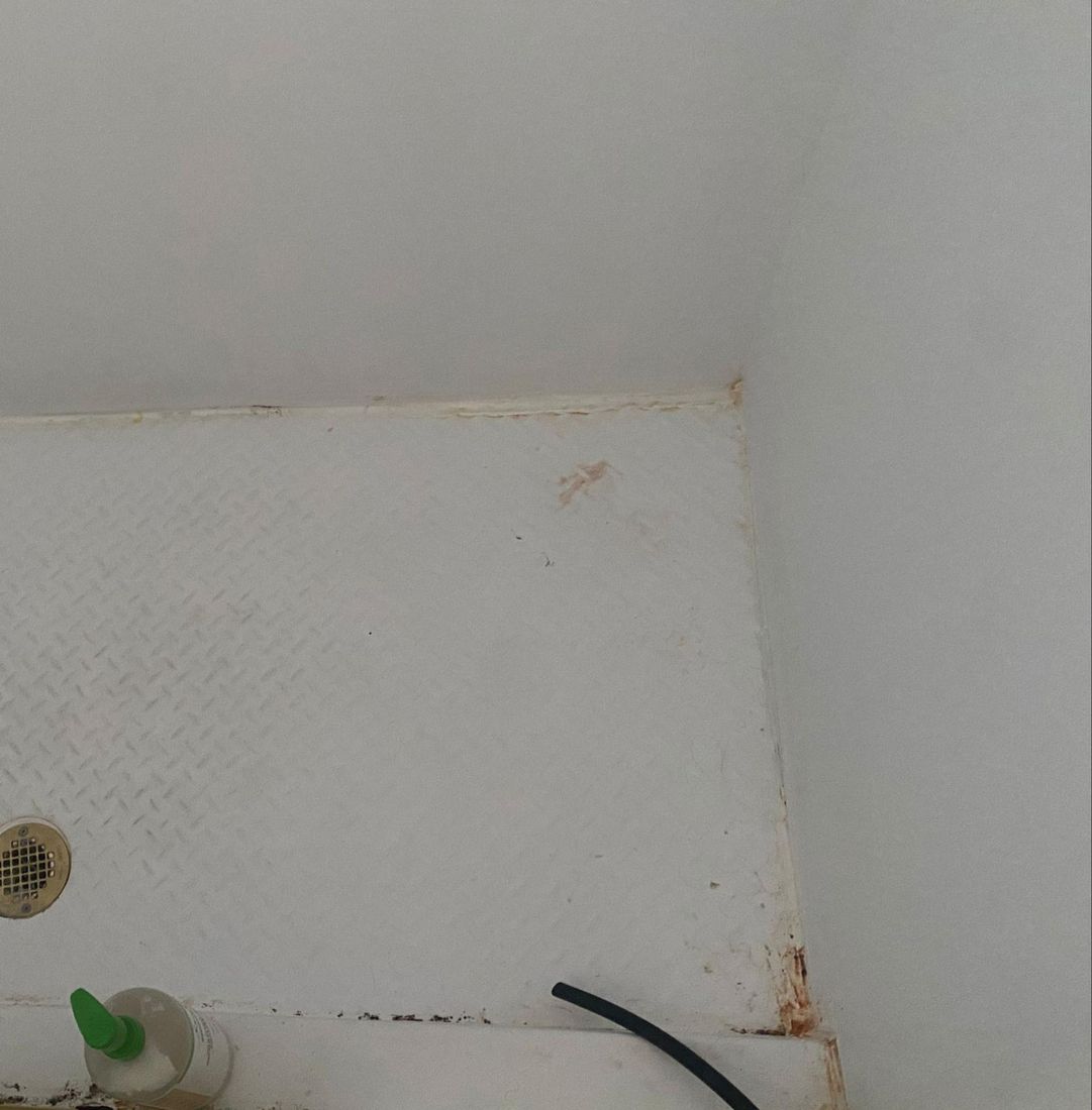 Shower pan with mildew and stains along the edges before cleaning